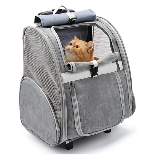 RolliPet
