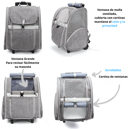RolliPet